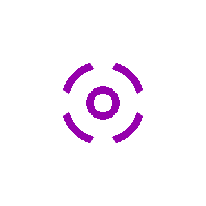 MAXIMI1 1
