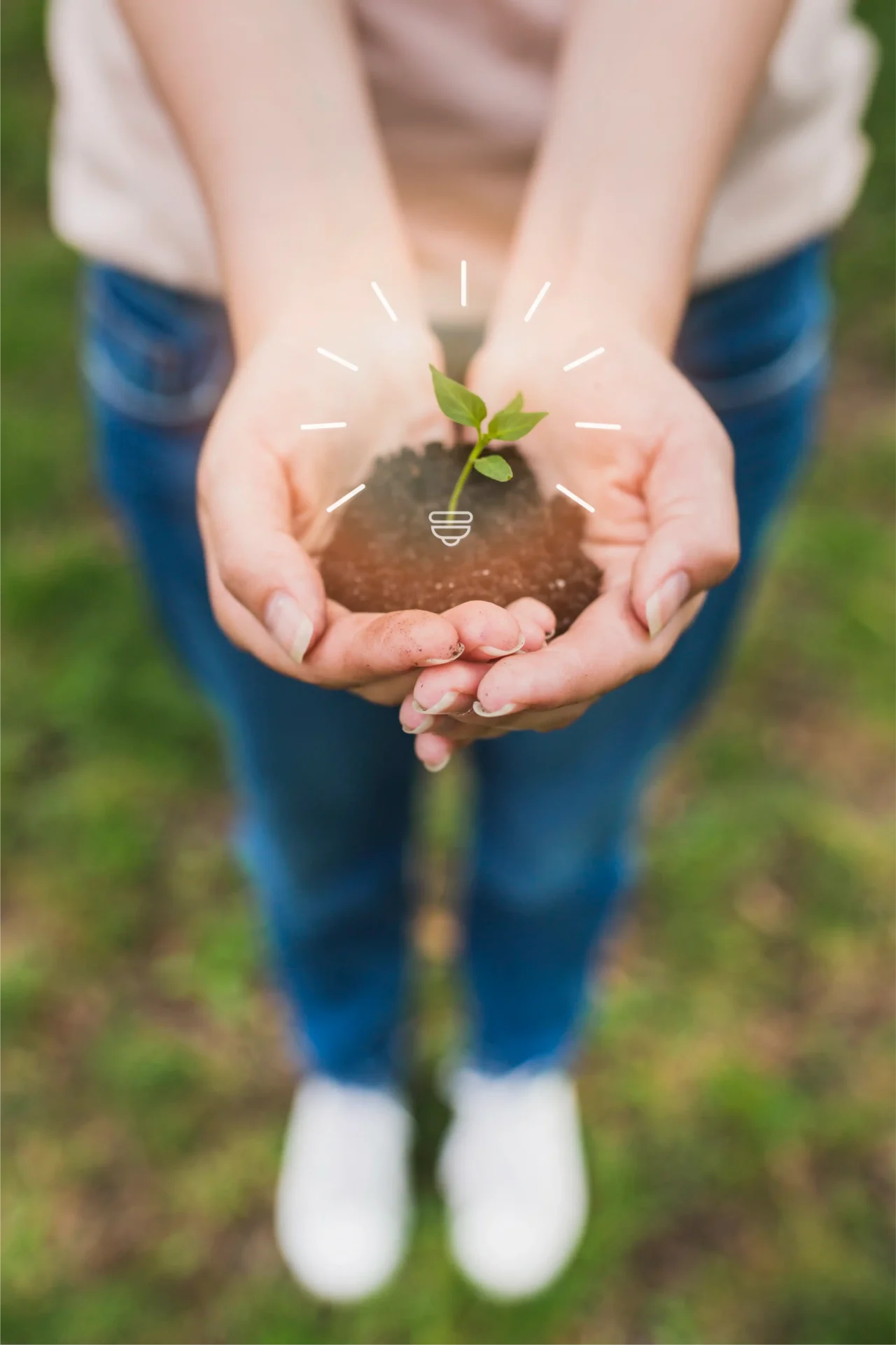 close up woman holding soil with plant scaled 1